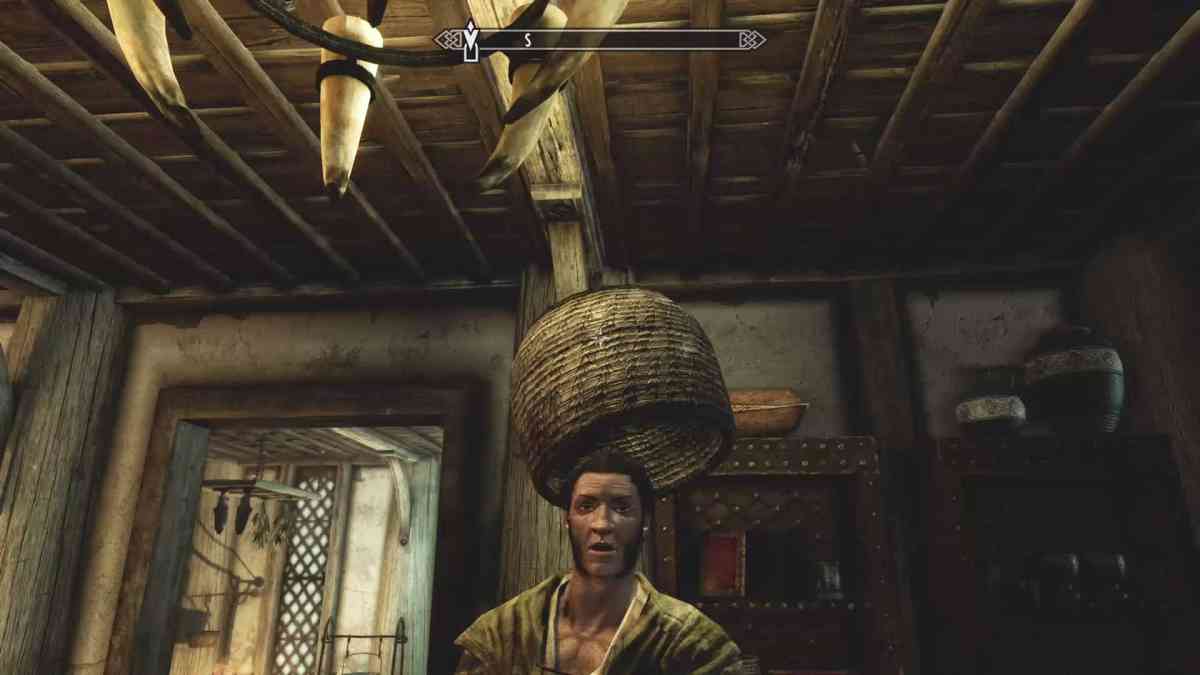 The Elder Scrolls V: Skyrim bucket trick with Belethor to steal stuff is a testament to player creativity and Bethesda exploits