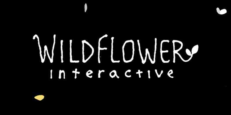 Wildflower Interactive is a New Studio Led by The Last of Us Director Bruce Straley