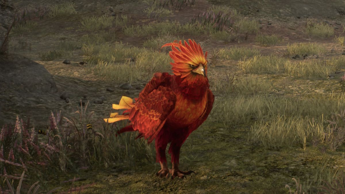 list of all of the tamable beasts in Hogwarts Legacy phoenix