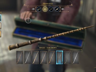 Hogwarts Legacy wand options