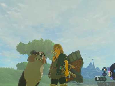 can you pet the dog this time in The Legend of Zelda: Tears of the Kingdom - answer no