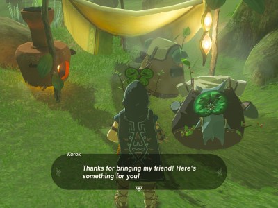 Tears of the Kingdom Korok Seeds