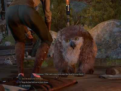 How to recruit the adorable, fluffy owlbear cub in Baldur's Gate 3 BG3