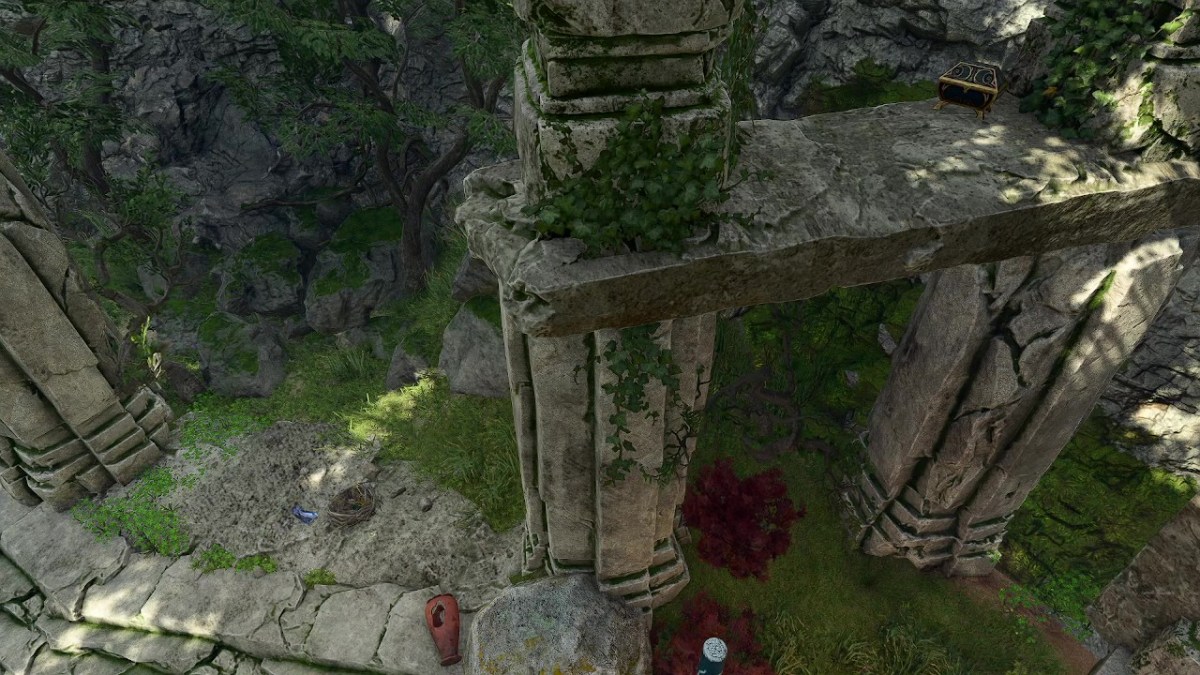 What Does the Bird's Nest Key Unlock in Baldur's Gate 3. This image shows the bird's nest and the chest.