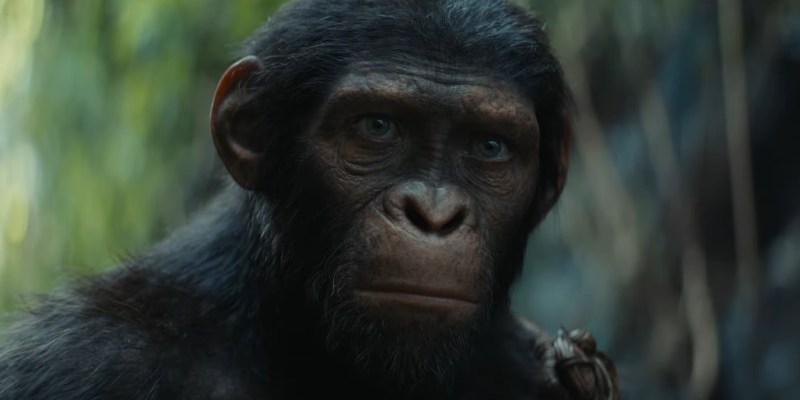 First Kingdom of the Planet of the Apes Trailer Sets Stage for Memorial Day Premiere