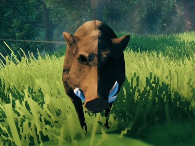 Boar in grass